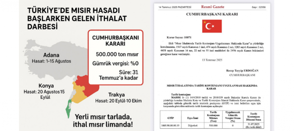 MAHİR SAYIN: 